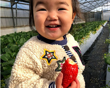 観光農園かしまハーベスト