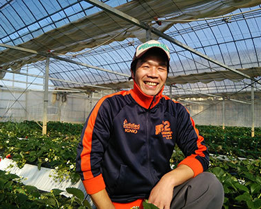 観光農園かしまハーベスト