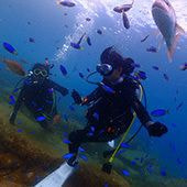 くりおねだいばーず