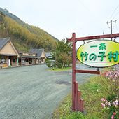 一条竹の子村