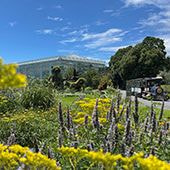 はままつフラワーパーク