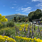 はままつフラワーパーク