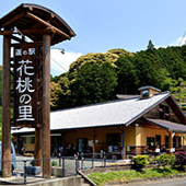 道の駅天竜相津花桃の里